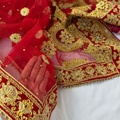 Bridal Red Net Dupatta with Heavy Zardozi Embroidery, Wedding Chunni, Dulhan Dupatta, Gold Lace Veil, Indian Bridal Dupatta
